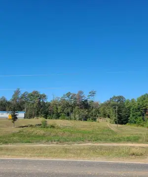 Vacant Land in Collinston, LA