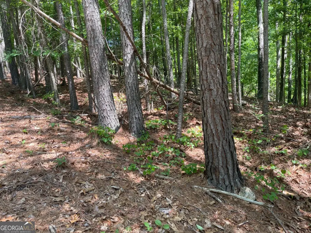Picture 14