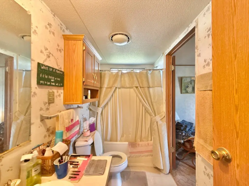 Picture 7