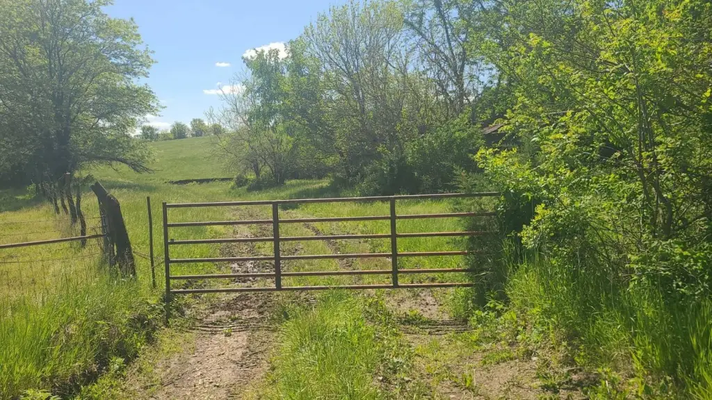 Picture 22
