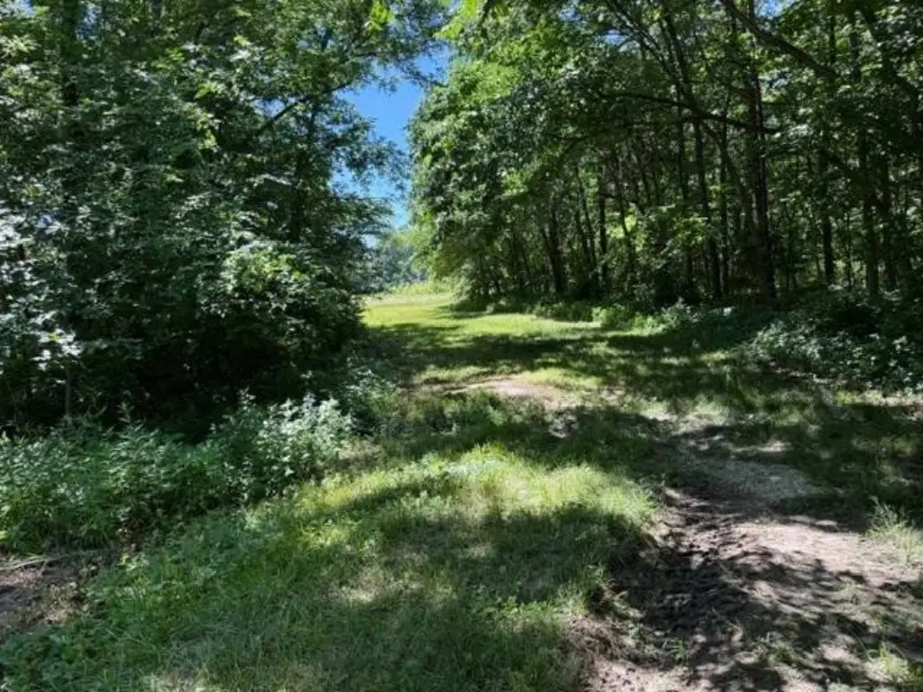 Picture 3
