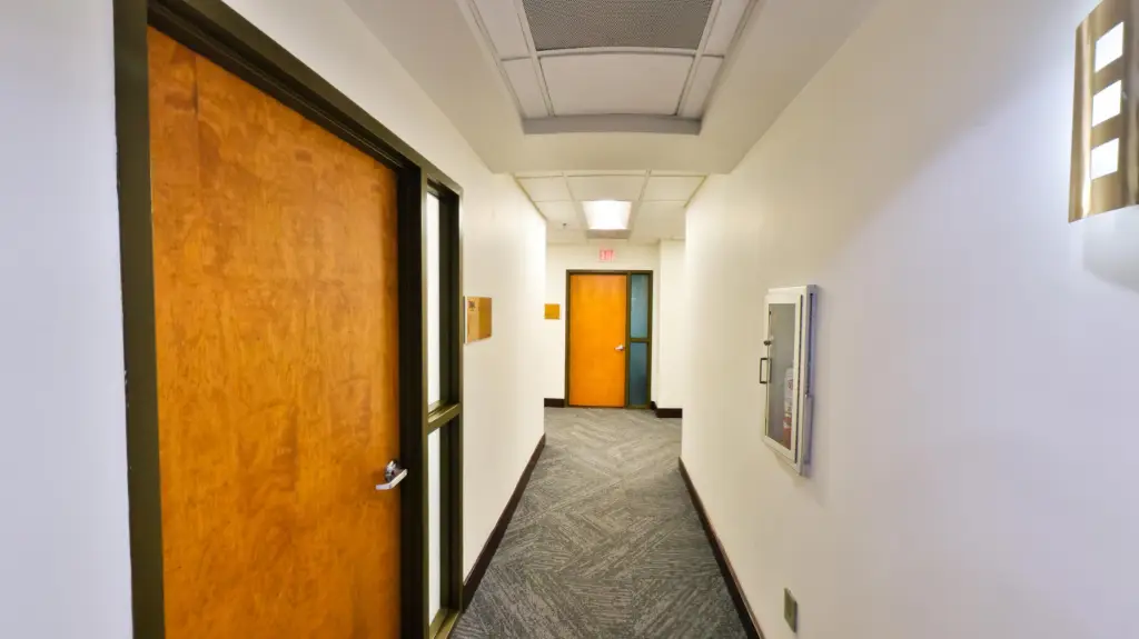 Picture 13