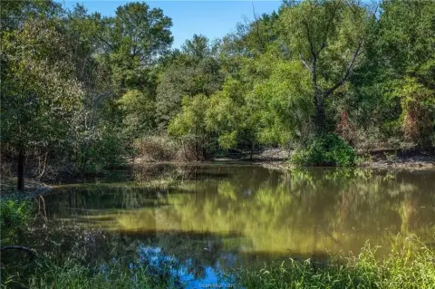 Franklin, TX 19-Acre Land Tract