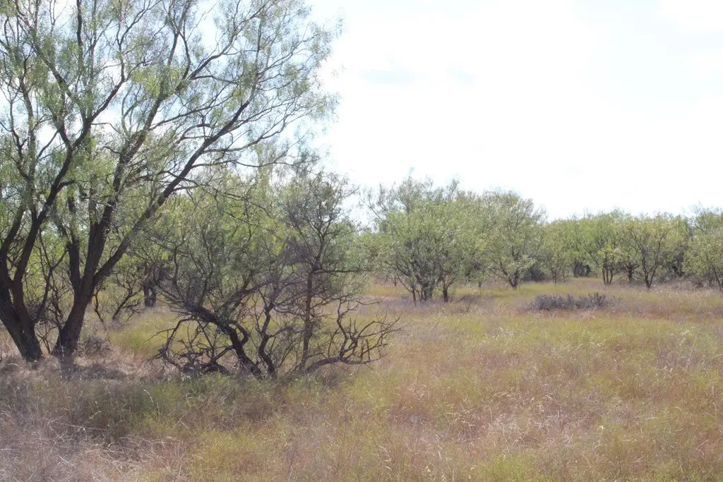 Picture 16