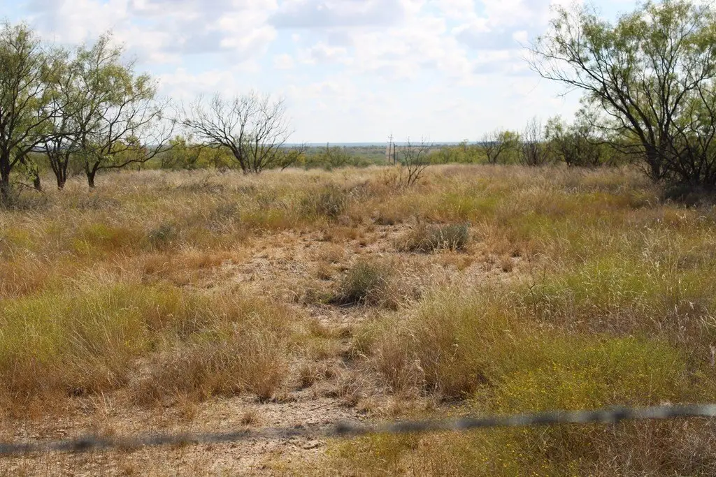 Picture 20