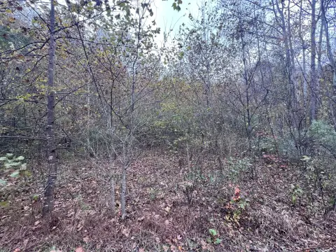 Fleming-Neon Land For Sale