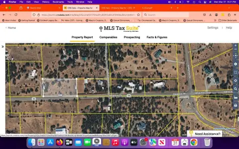 Wooded Land with Mountain Views