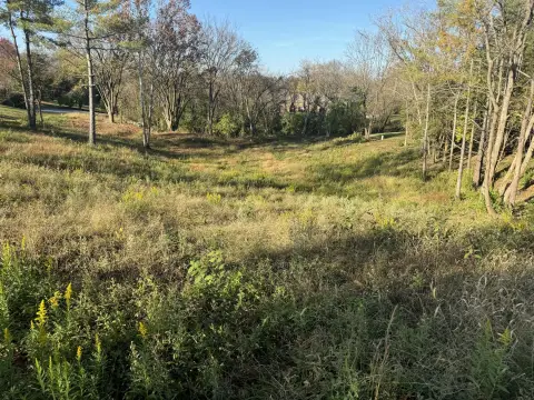 Residential Land in Richmond, KY