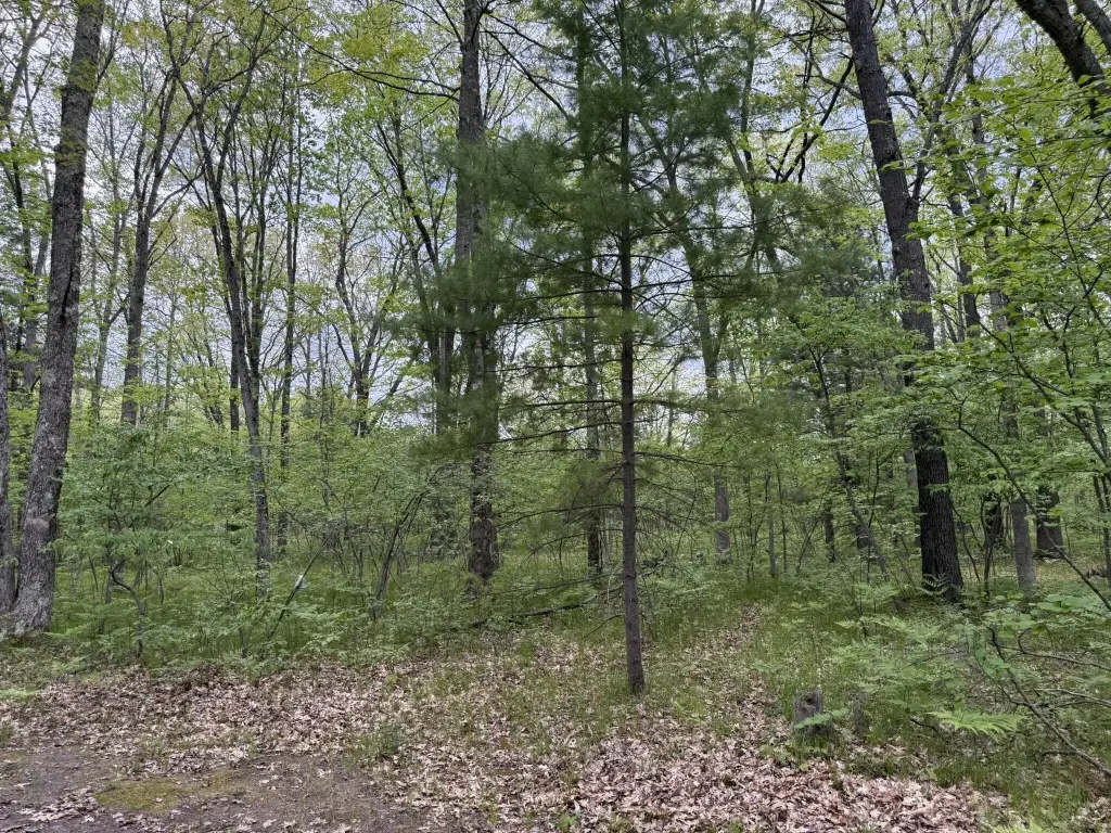 Picture 4