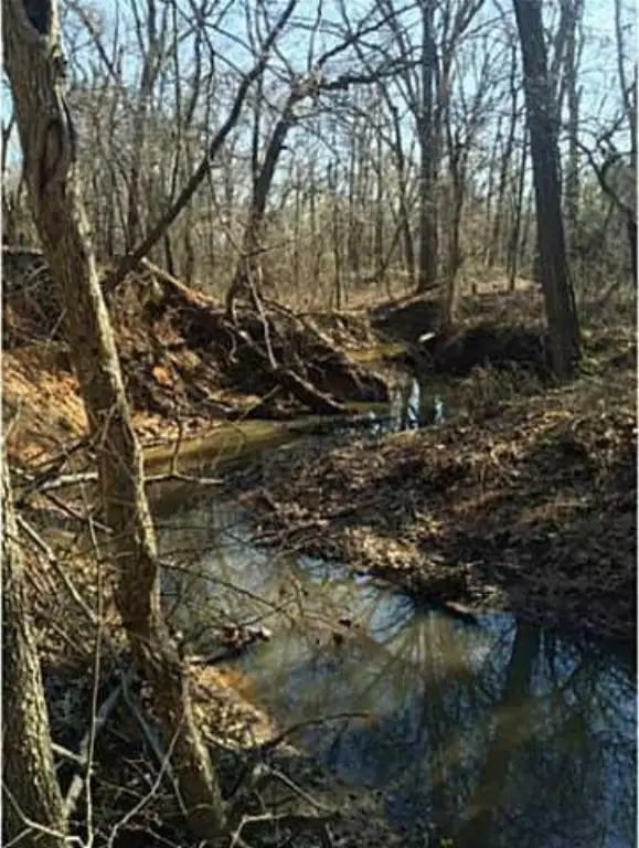 Picture 36