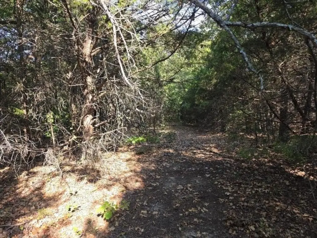 Picture 14