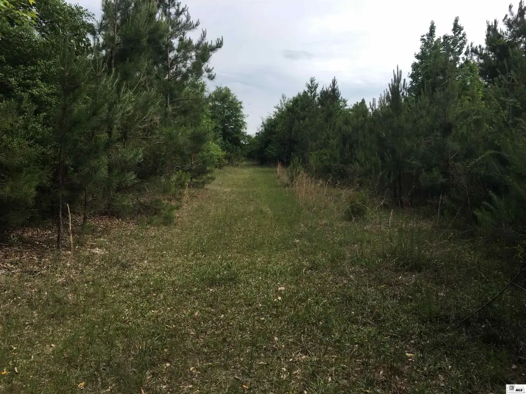 Picture 44