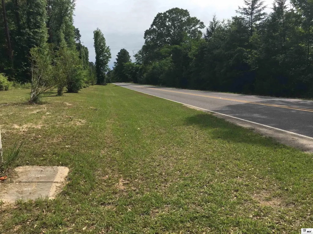 Picture 48