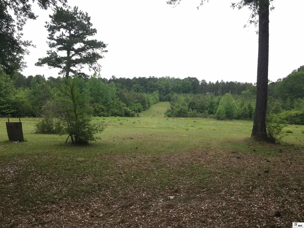 Picture 3