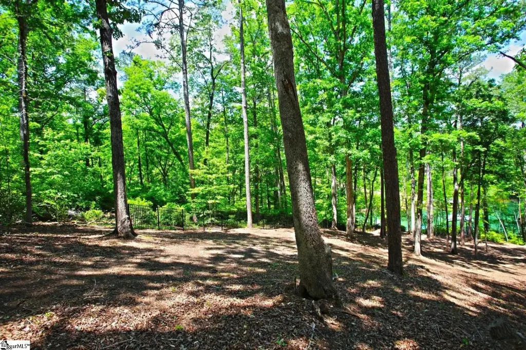 Picture 30