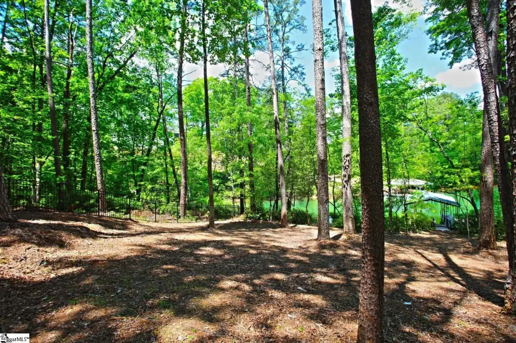 Picture 23
