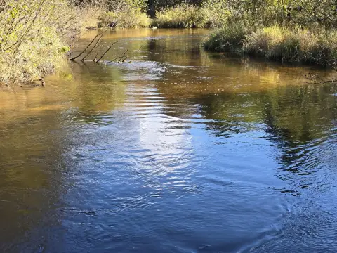Little Manistee Riverfront Acreage Parcel