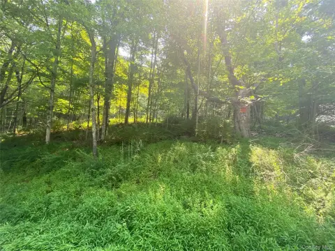 56.9 Acres Near Bashakill Refuge