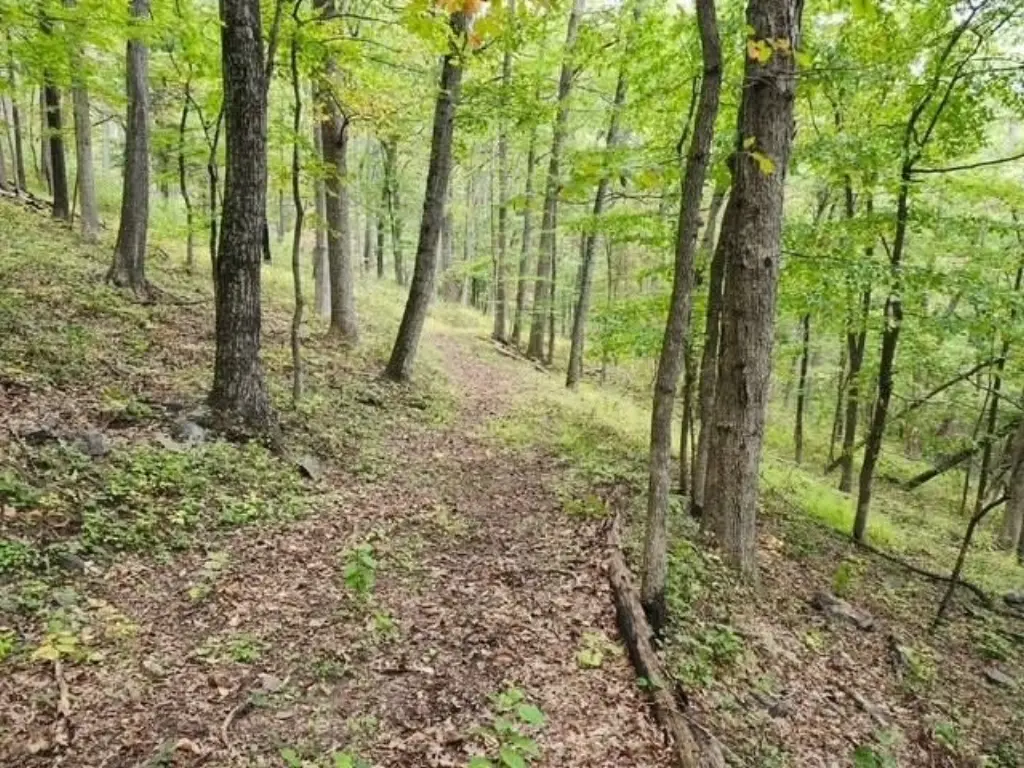 Picture 2