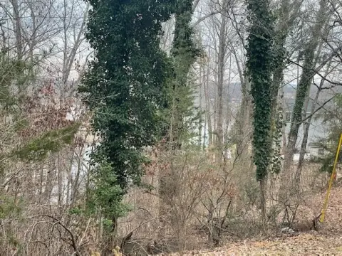 Moneta, VA Building Lot