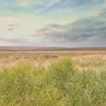 Land Near Wildorado, Texas