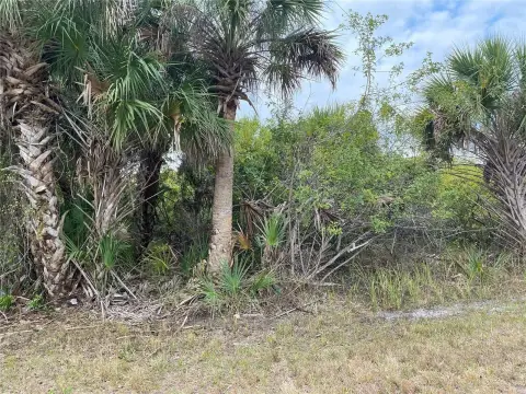Corner Residential Lot for Development