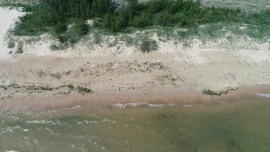 Picture 5