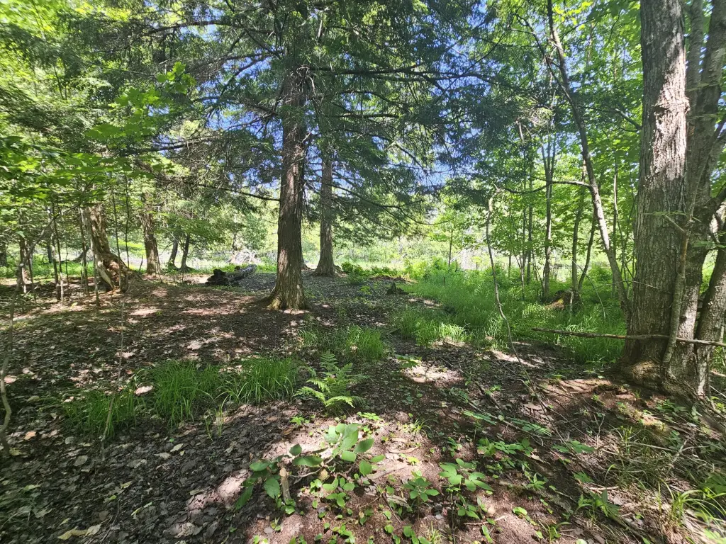 Picture 30