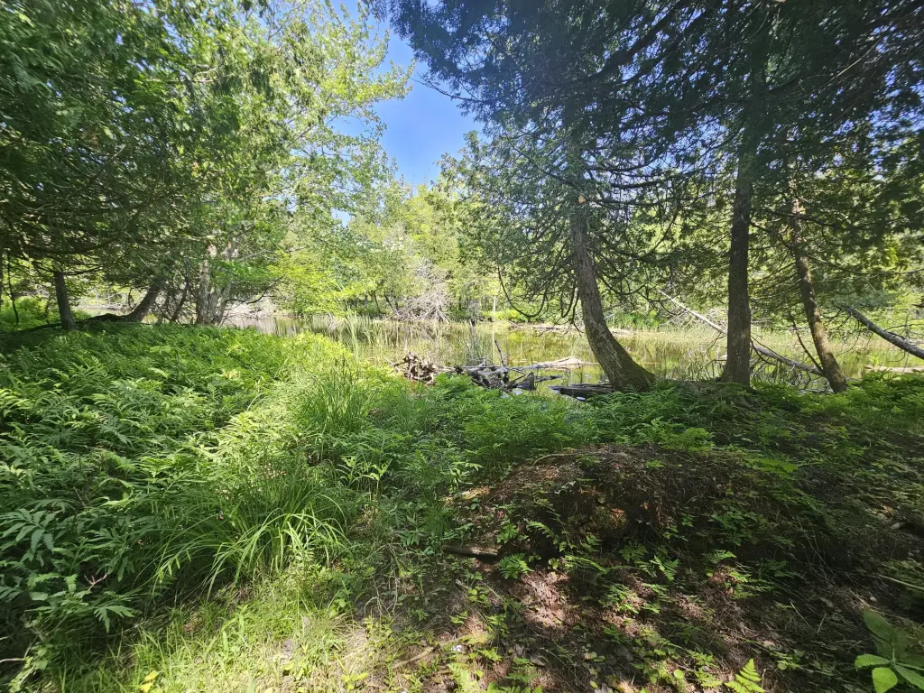 Picture 27