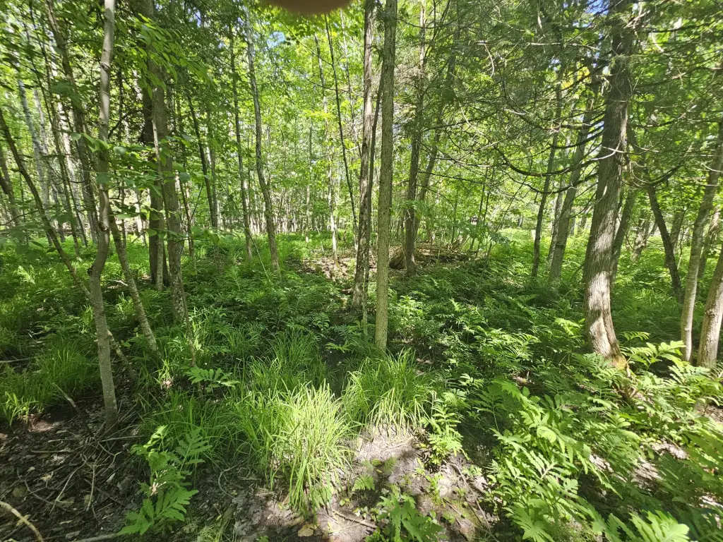 Picture 37