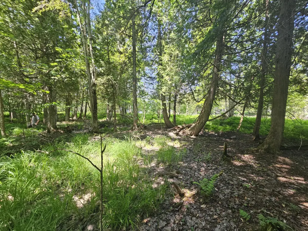 Picture 25