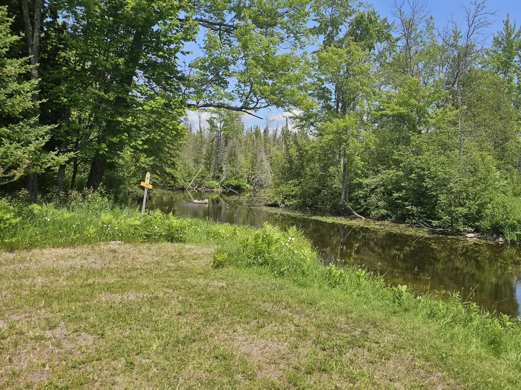 Picture 8
