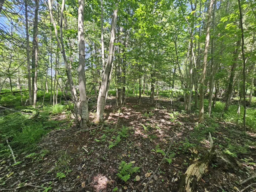 Picture 20