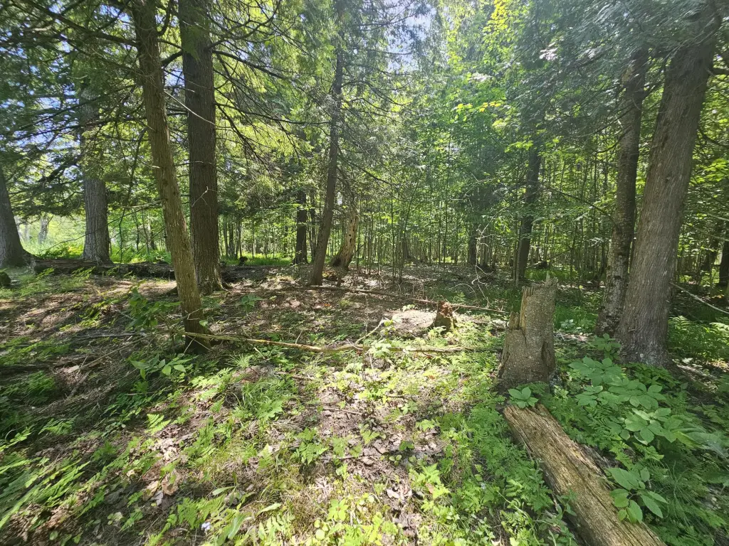 Picture 26