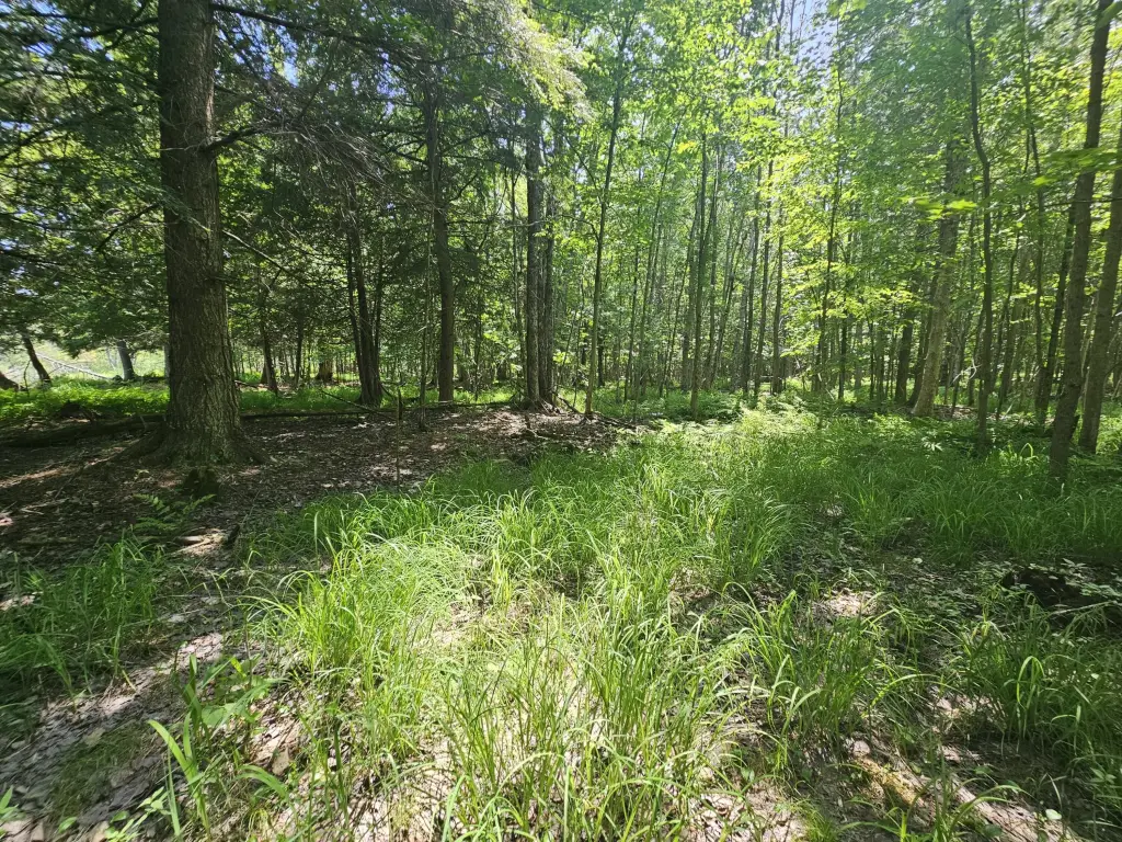 Picture 24