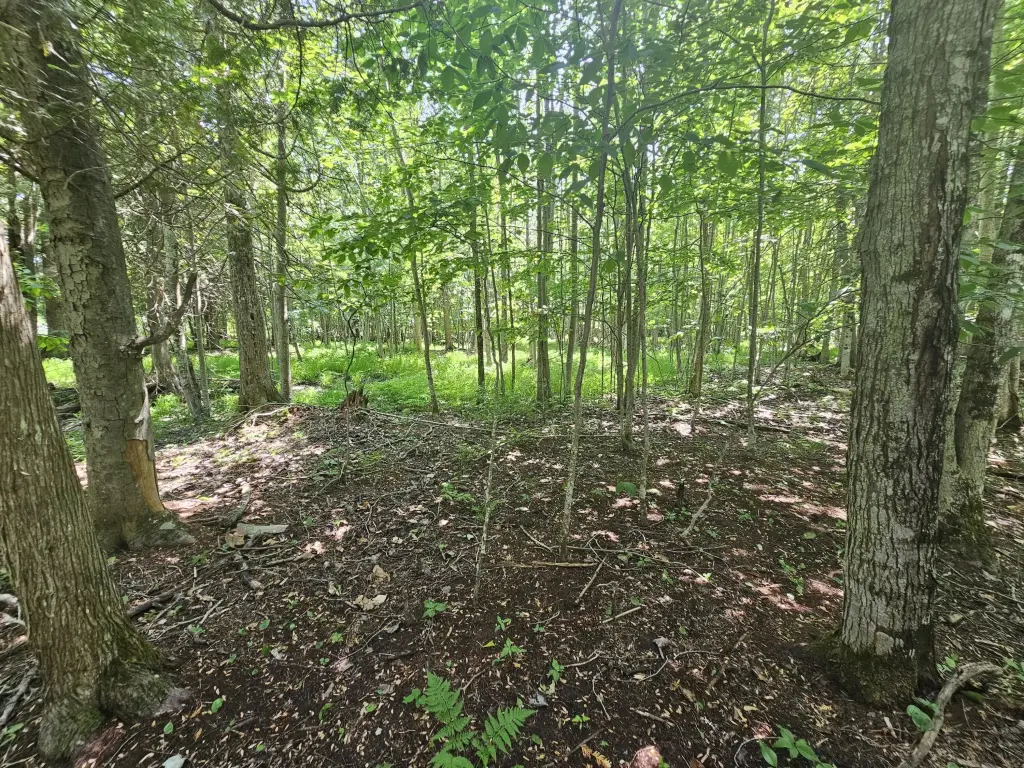 Picture 23