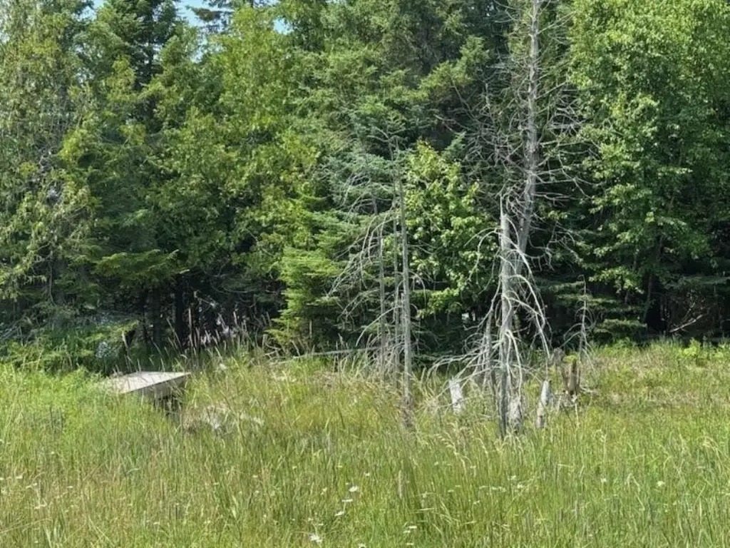 Picture 28