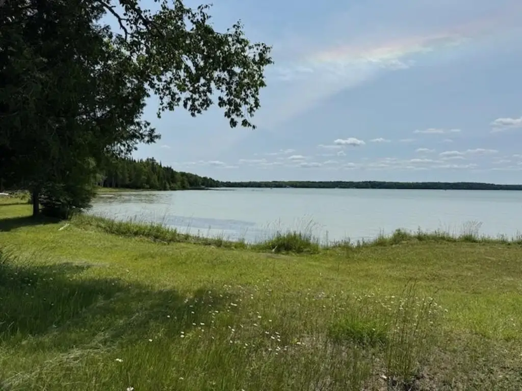 Picture 5