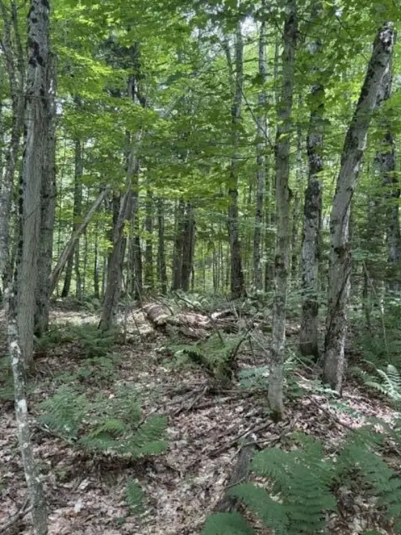 Picture 13