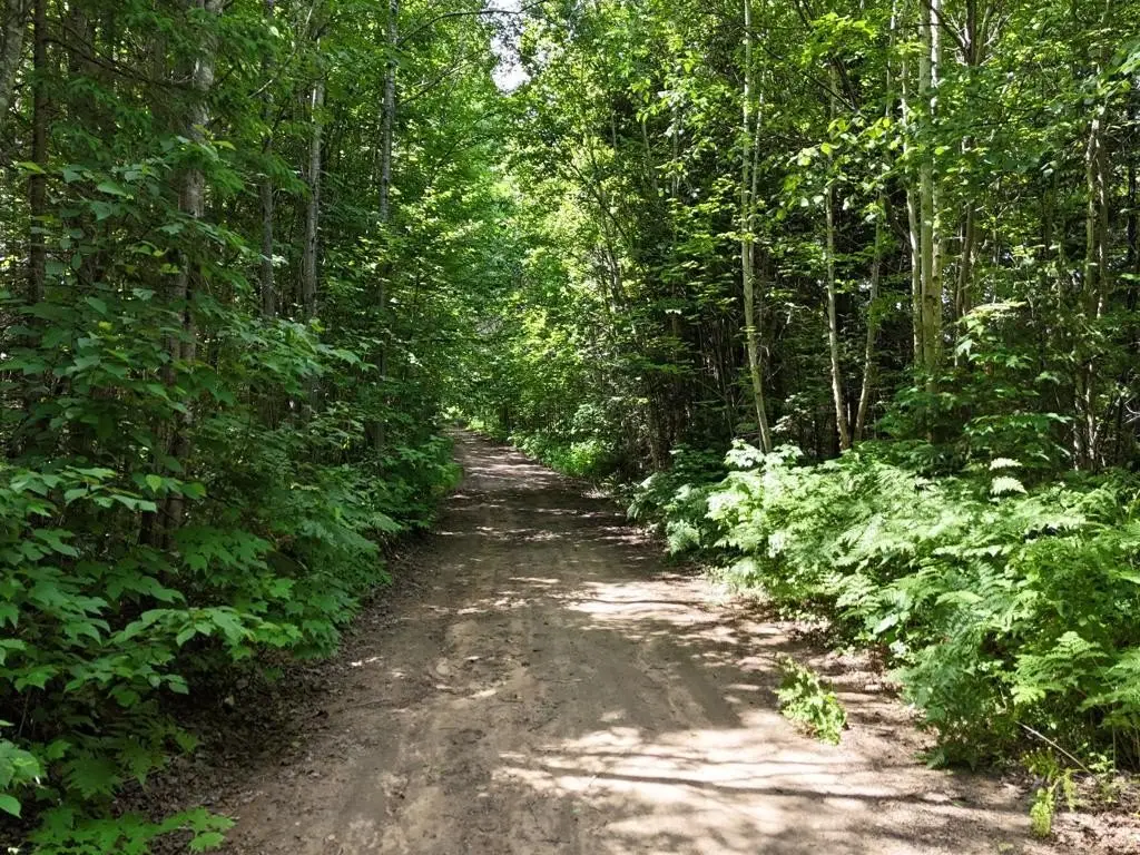 Picture 25