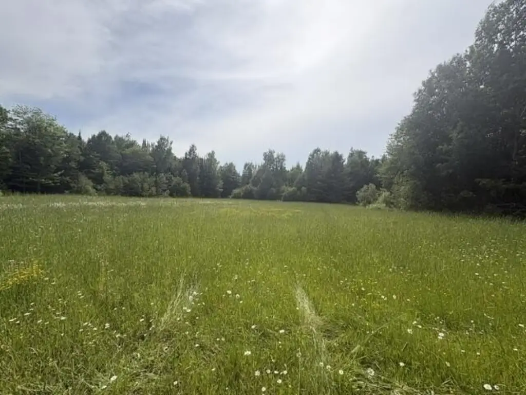 Picture 19