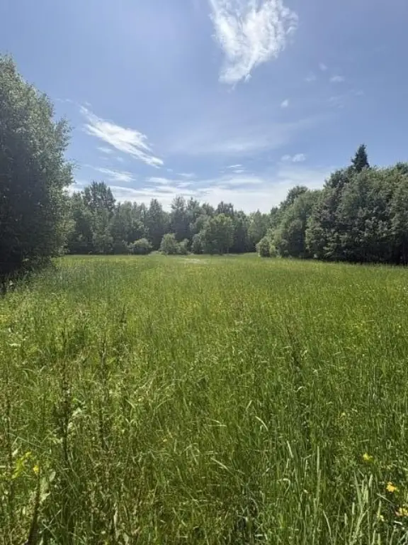 Picture 18