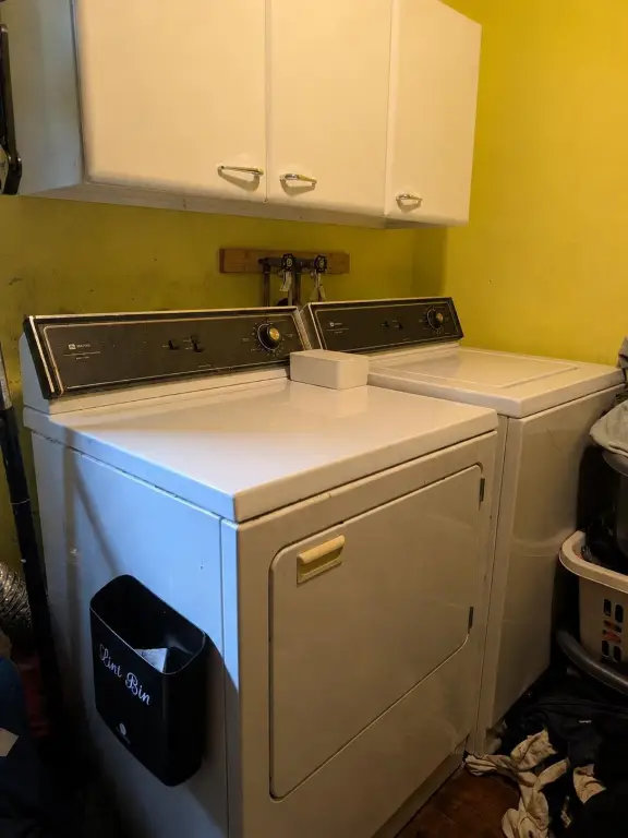 Picture 29
