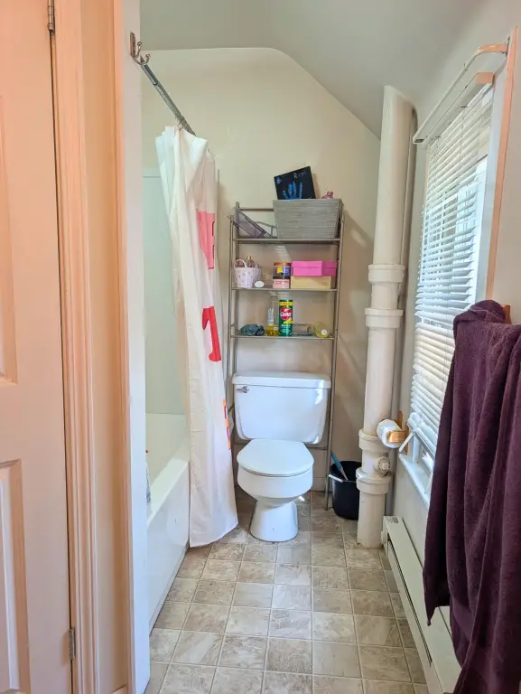 Picture 19