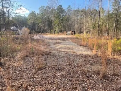 Residential Land in Stapleton, GA