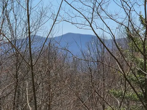 Franklin, NC Wooded Lot