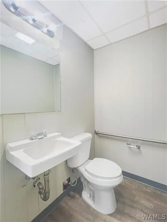 Picture 12