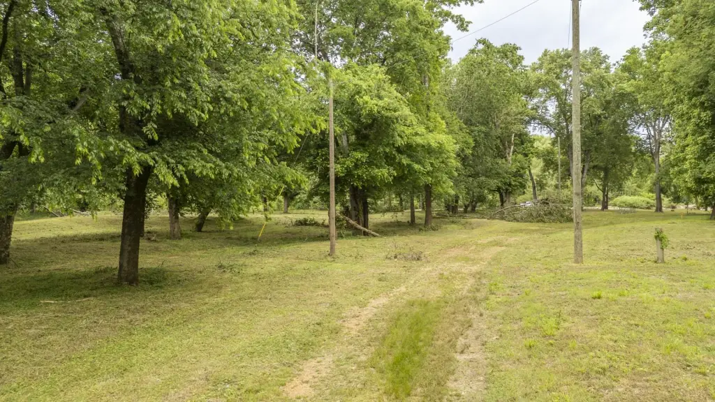 Picture 26