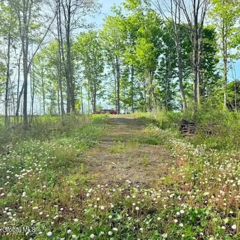 Picture 2
