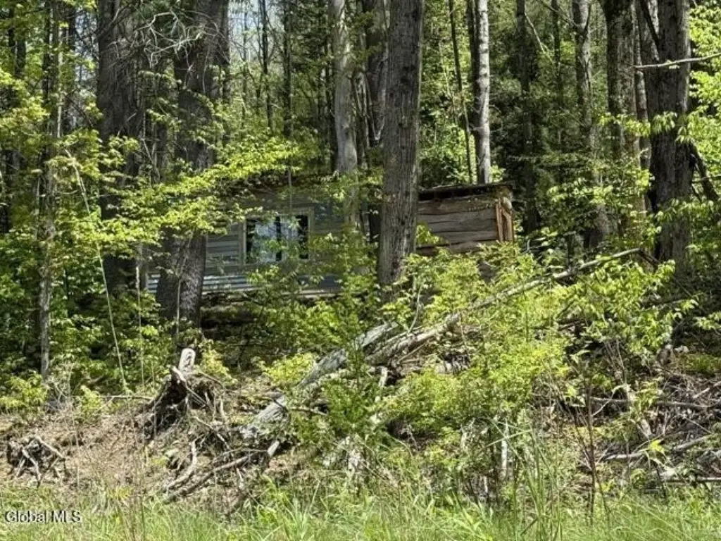 Picture 5